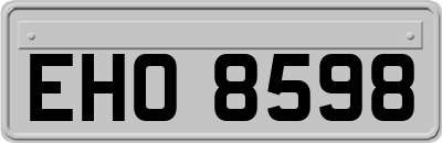 EHO8598