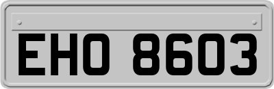 EHO8603