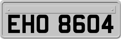EHO8604