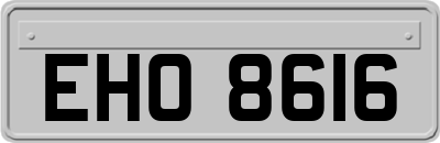 EHO8616