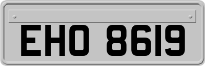 EHO8619