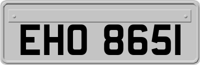 EHO8651