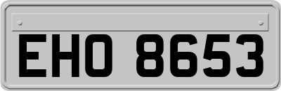 EHO8653
