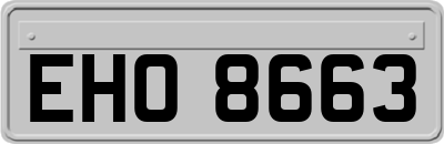 EHO8663