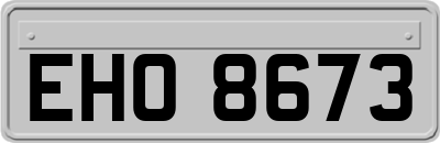 EHO8673