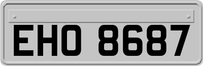 EHO8687