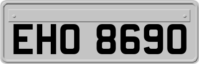 EHO8690