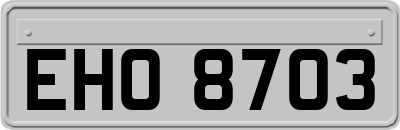 EHO8703