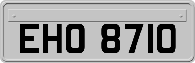 EHO8710