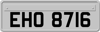 EHO8716