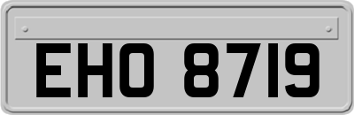 EHO8719