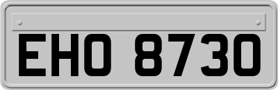 EHO8730