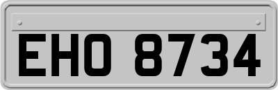EHO8734