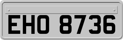 EHO8736
