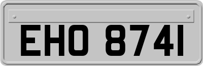 EHO8741