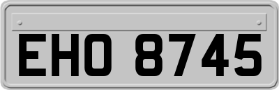 EHO8745