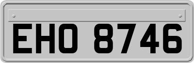 EHO8746