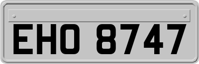 EHO8747