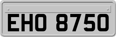 EHO8750