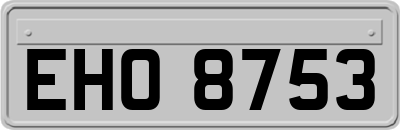 EHO8753