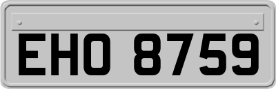 EHO8759