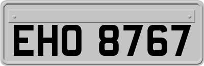 EHO8767
