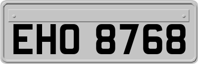 EHO8768