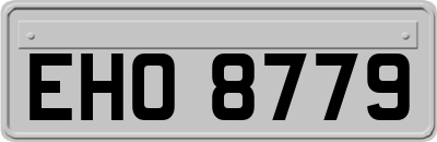 EHO8779