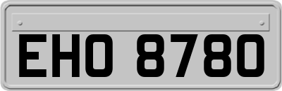EHO8780