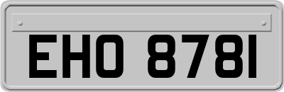 EHO8781