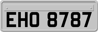 EHO8787