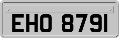 EHO8791