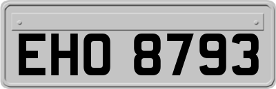 EHO8793