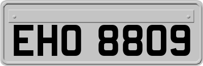 EHO8809