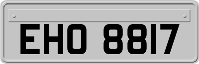 EHO8817