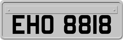 EHO8818