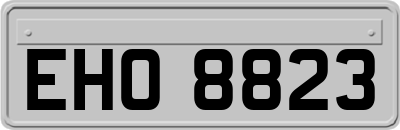 EHO8823