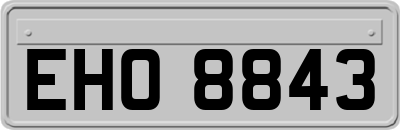 EHO8843