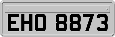 EHO8873