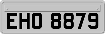 EHO8879