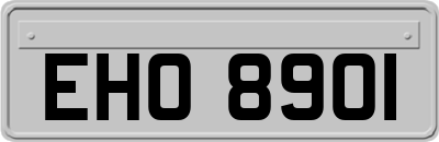 EHO8901