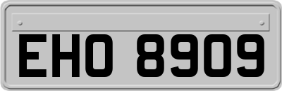 EHO8909