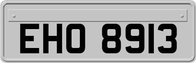EHO8913