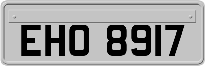 EHO8917