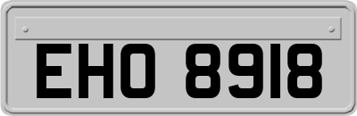 EHO8918