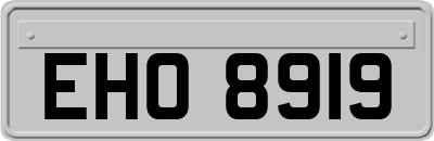 EHO8919