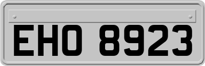 EHO8923