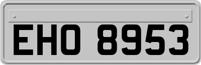 EHO8953