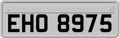 EHO8975