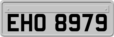 EHO8979